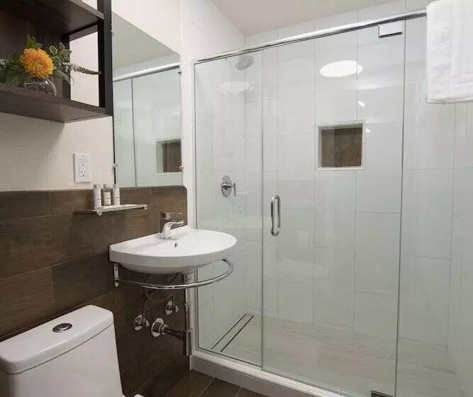 בית מלון כפרי The Vine Inn Davis