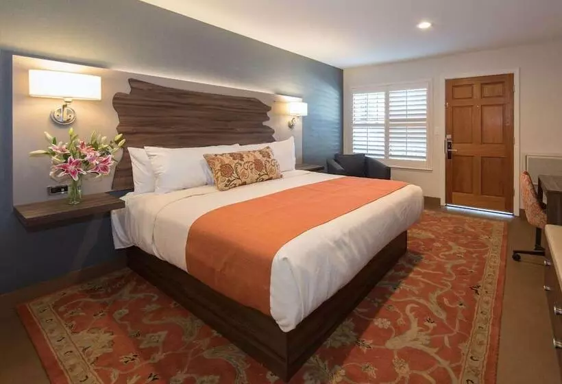 בית מלון כפרי The Vine Inn Davis