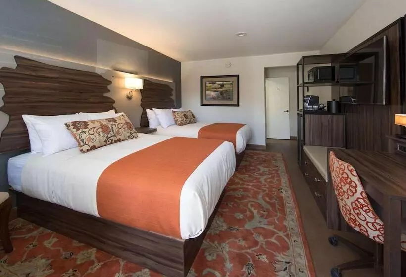 בית מלון כפרי The Vine Inn Davis