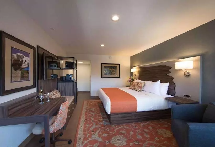 בית מלון כפרי The Vine Inn Davis