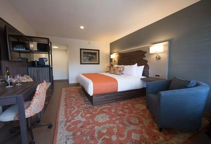 בית מלון כפרי The Vine Inn Davis