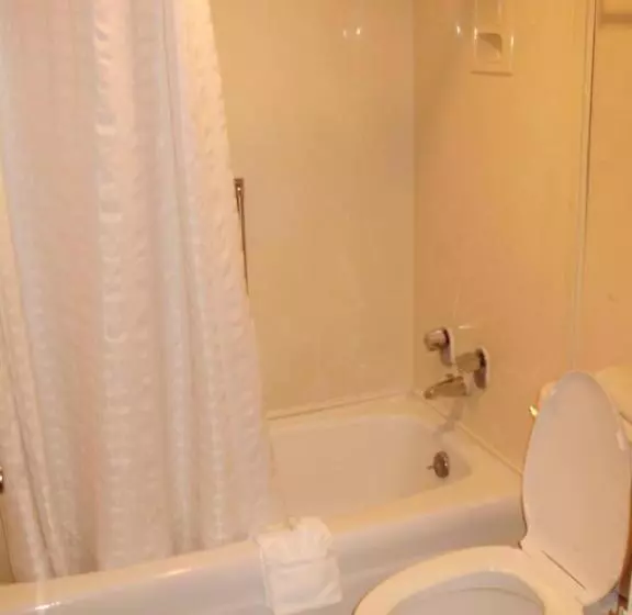 בית מלון כפרי Trade Winds Central Inn