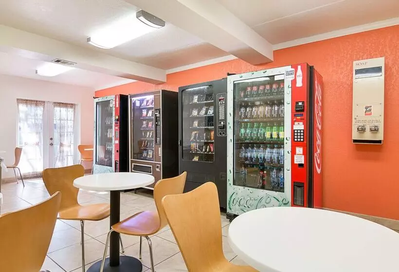 Motel 6 Tampa, Fl   Fairgrounds