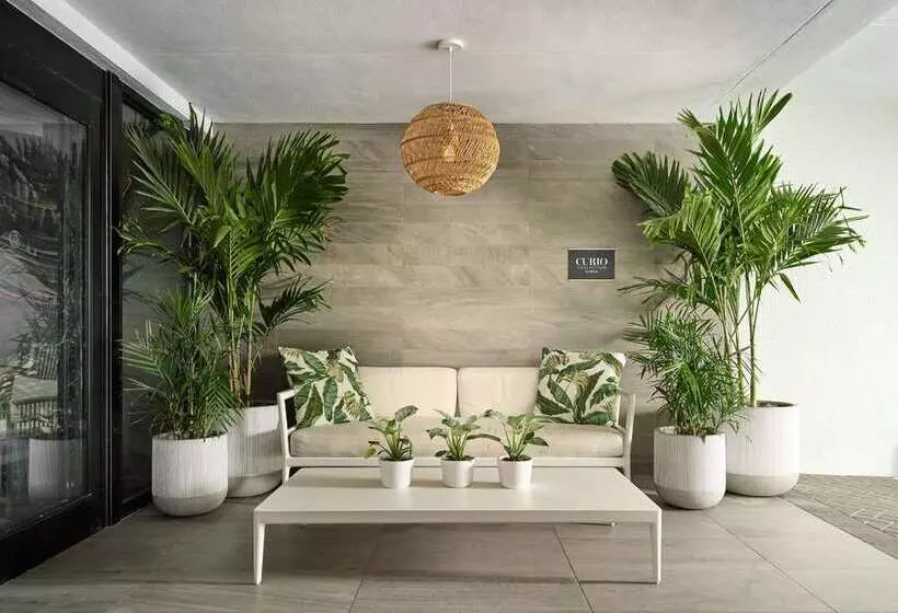 Waterstone Resort & Marina Boca Raton, Curio Collection By Hilton