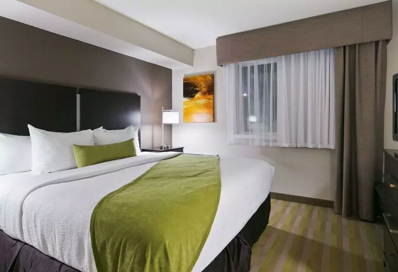 酒店 Best Western Harvest Inn & Suites