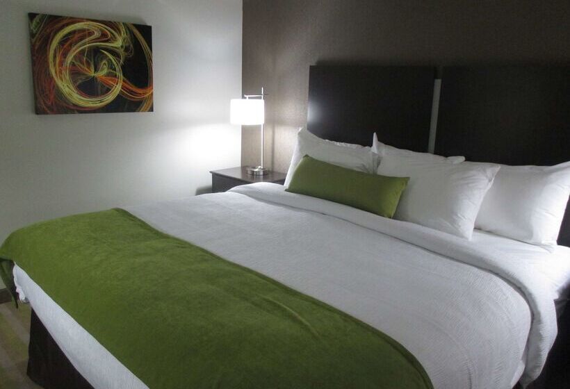 בית מלון כפרי Best Western Harvest Inn & Suites