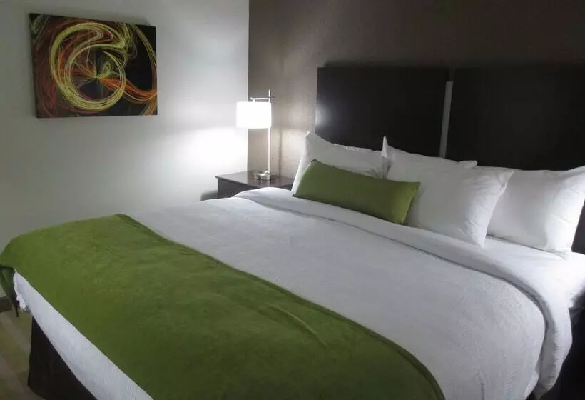 酒店 Best Western Harvest Inn & Suites