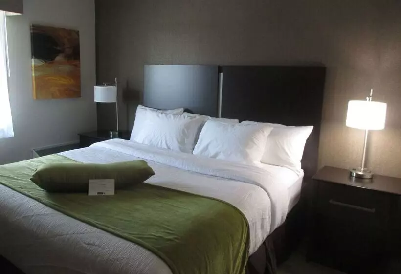 酒店 Best Western Harvest Inn & Suites