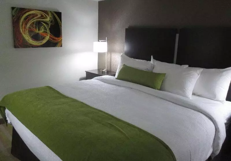 酒店 Best Western Harvest Inn & Suites