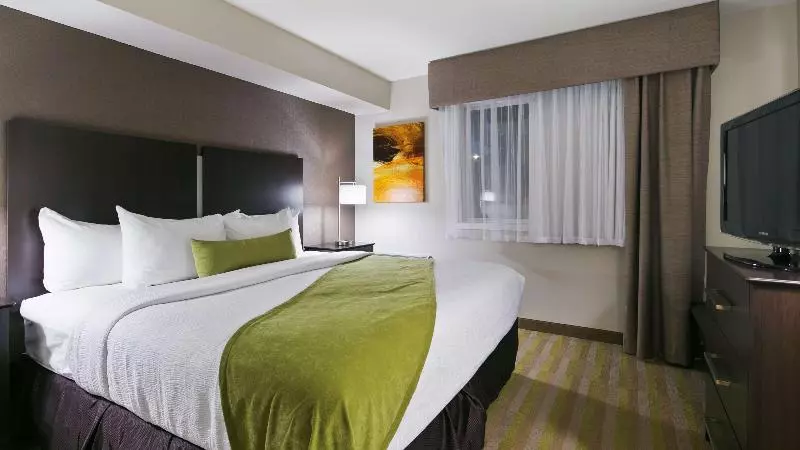 酒店 Best Western Harvest Inn & Suites