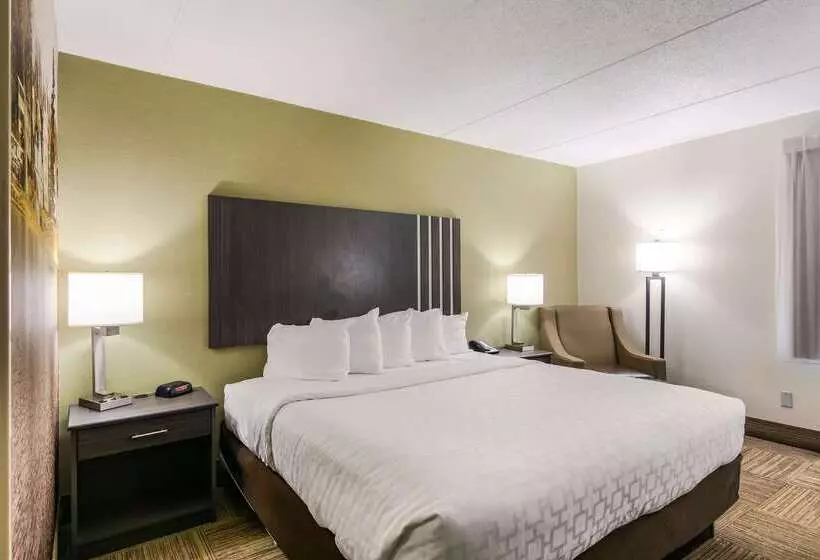 Hotel Clarion Pointe Jamestown  Falconer