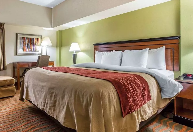 فندق Comfort Inn