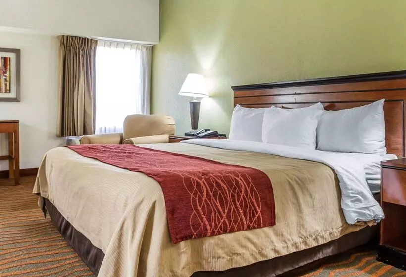 فندق Comfort Inn