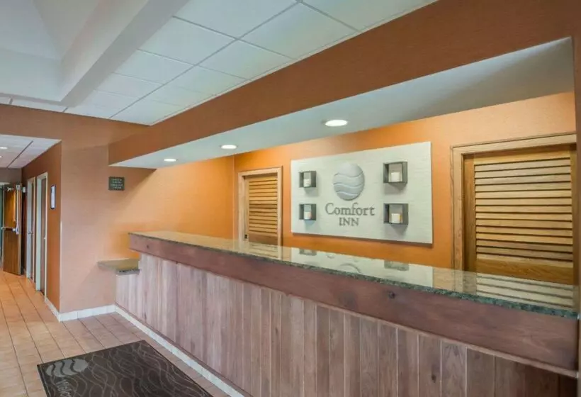 Отель Comfort Inn   Nys Fairgrounds