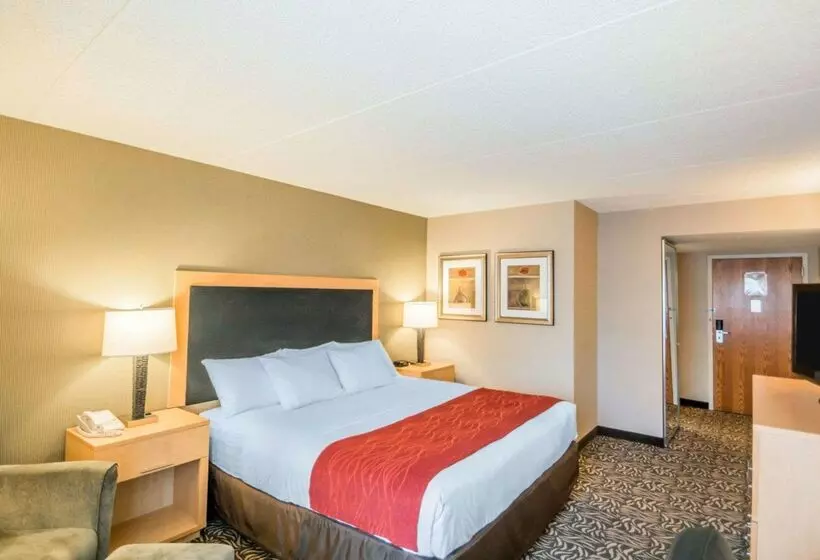 Отель Comfort Inn   Nys Fairgrounds