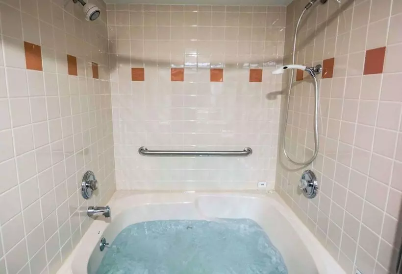 Отель Comfort Inn   Nys Fairgrounds