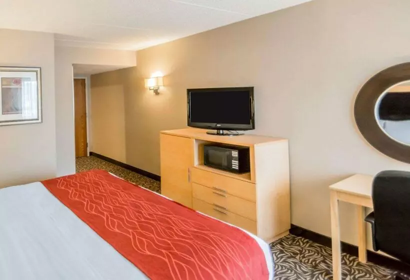Отель Comfort Inn   Nys Fairgrounds