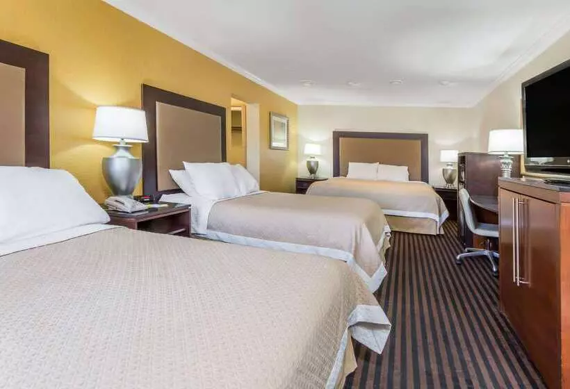 酒店 Days Inn By Wyndham Pensacola Historic Downtown