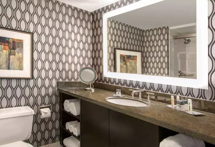 Отель Doubletree By Hilton Chicago Schaumburg