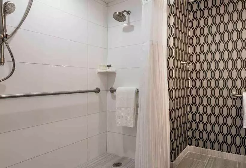 Отель Doubletree By Hilton Chicago Schaumburg