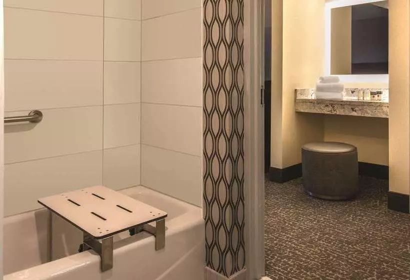 Отель Doubletree By Hilton Chicago Schaumburg