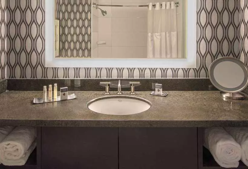 Отель Doubletree By Hilton Chicago Schaumburg