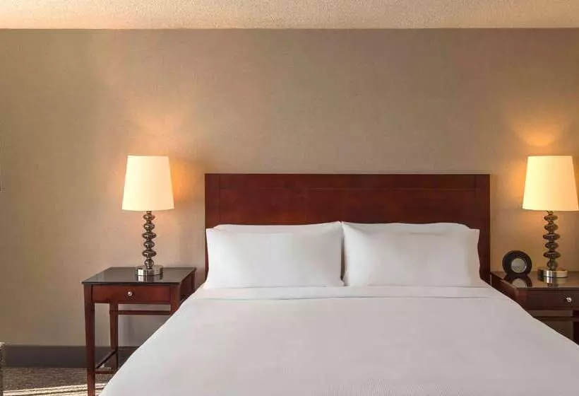 Отель Doubletree By Hilton Chicago Schaumburg
