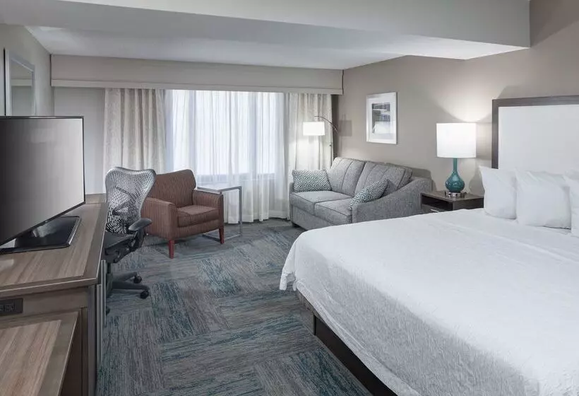 فندق Hampton Inn St. Louisdowntown