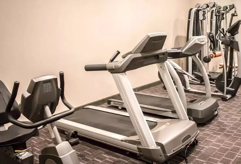 Szálloda Holiday Inn Express & Suites   Albany Airport   Wolf Road, An Ihg