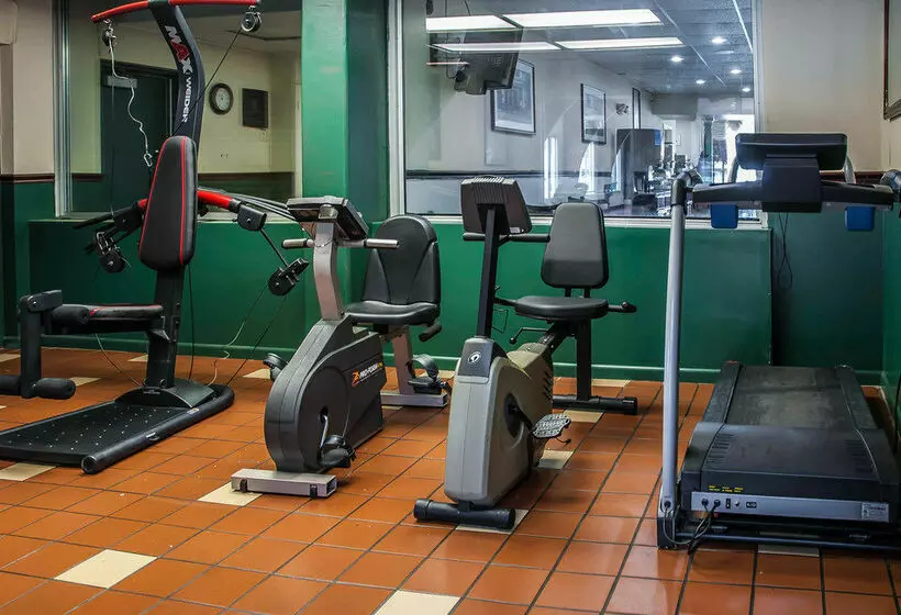 בית מלון כפרי Sunset Lodge