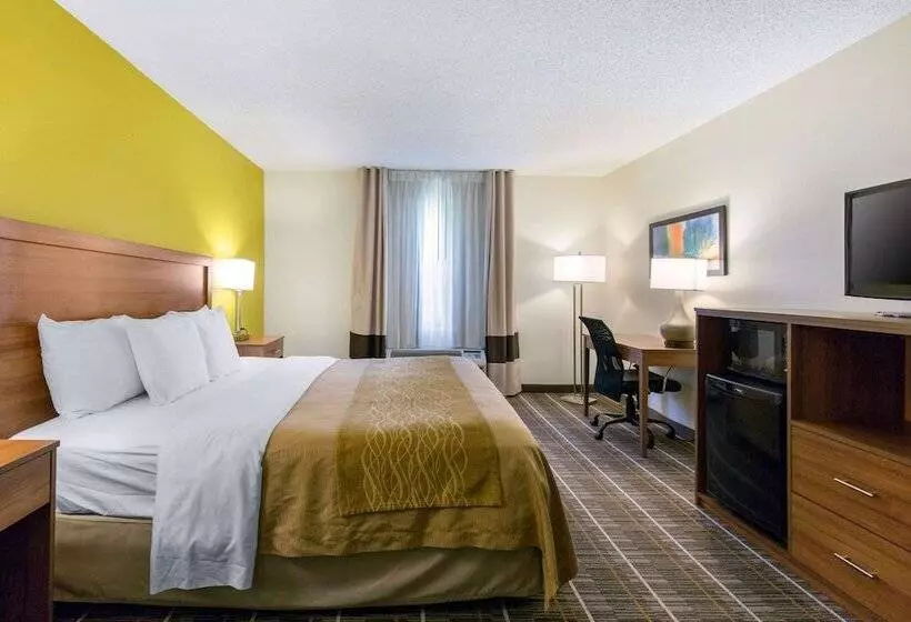 酒店 Quality Inn Stephens Citywinchester South