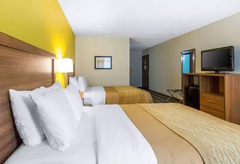 酒店 Quality Inn Stephens Citywinchester South