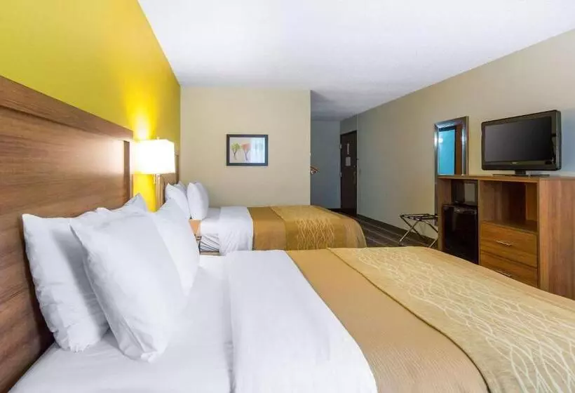 酒店 Quality Inn Stephens Citywinchester South