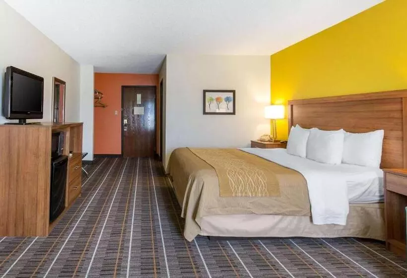 酒店 Quality Inn Stephens Citywinchester South