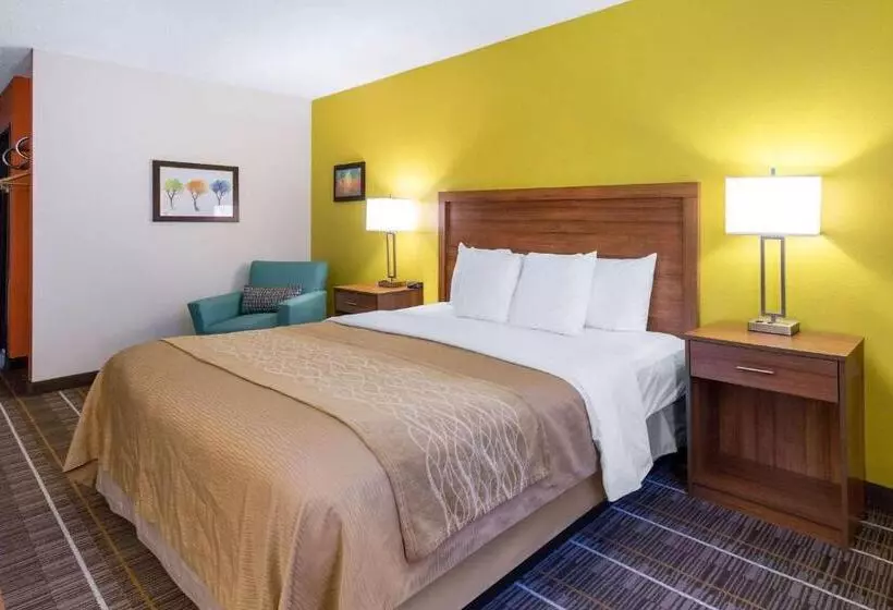 酒店 Quality Inn Stephens Citywinchester South