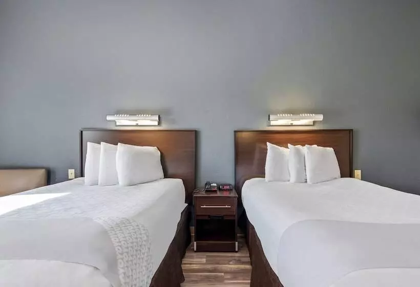 בית מלון כפרי Suburban Studios Orlando Ocoee Winter Garden