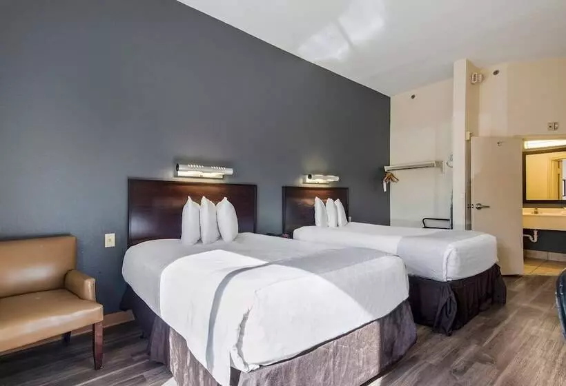 בית מלון כפרי Suburban Studios Orlando Ocoee Winter Garden