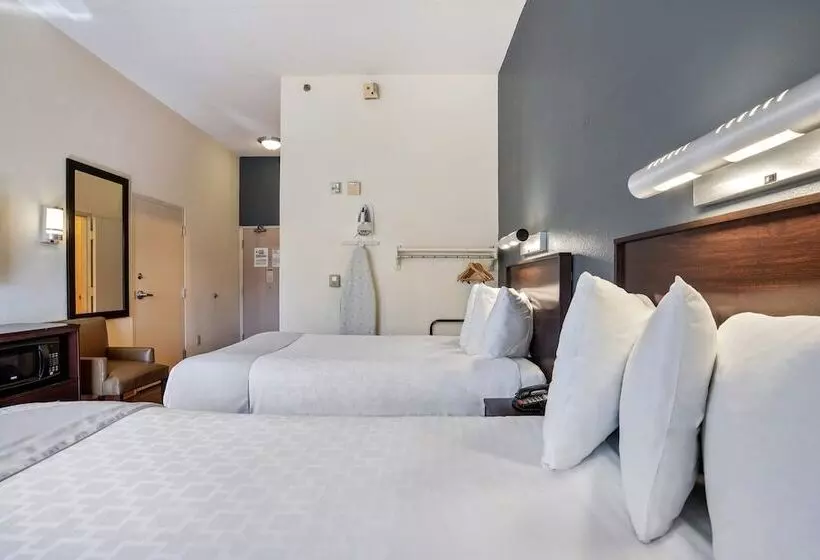 בית מלון כפרי Suburban Studios Orlando Ocoee Winter Garden