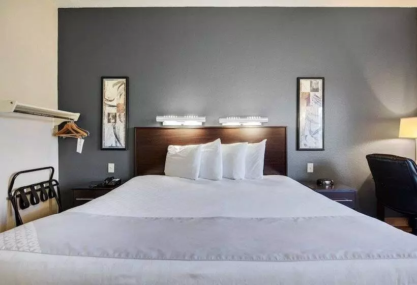 בית מלון כפרי Suburban Studios Orlando Ocoee Winter Garden