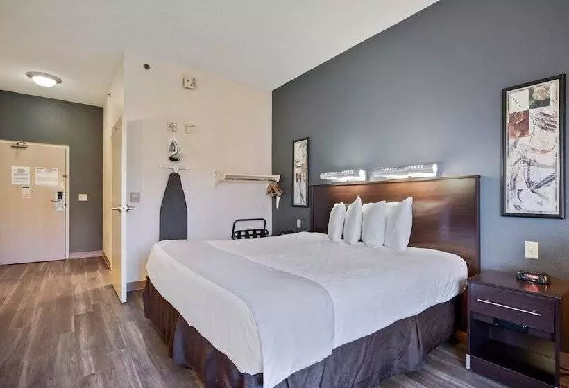 בית מלון כפרי Suburban Studios Orlando Ocoee Winter Garden