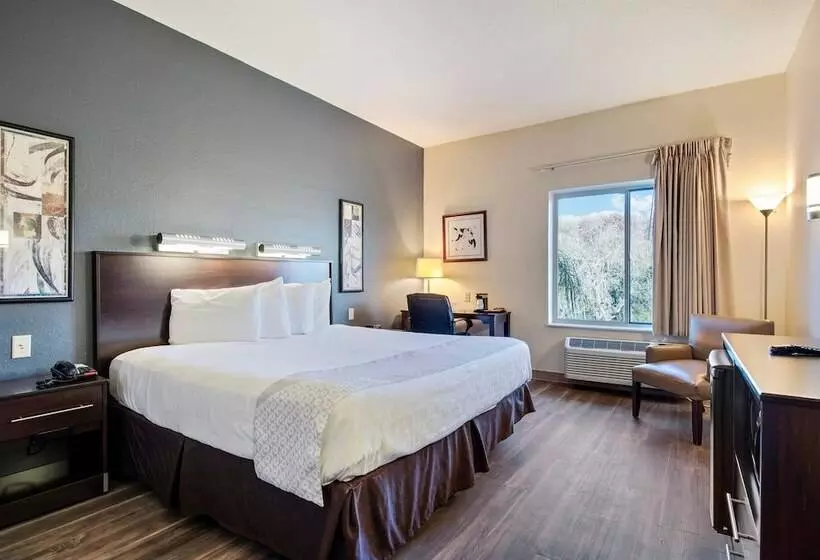 בית מלון כפרי Suburban Studios Orlando Ocoee Winter Garden