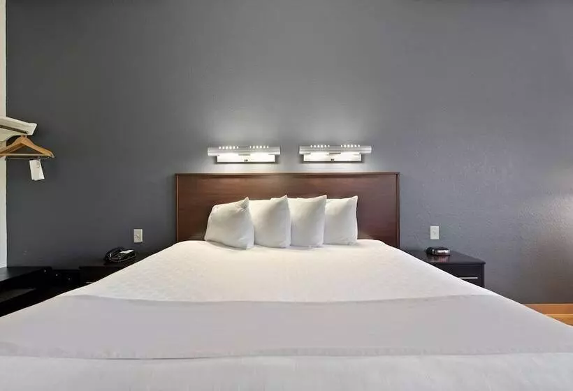 בית מלון כפרי Suburban Studios Orlando Ocoee Winter Garden