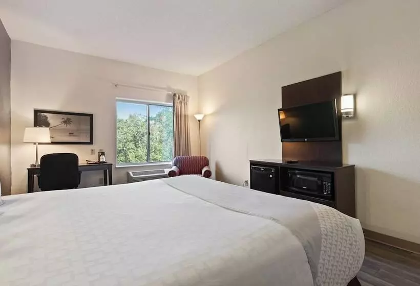 בית מלון כפרי Suburban Studios Orlando Ocoee Winter Garden