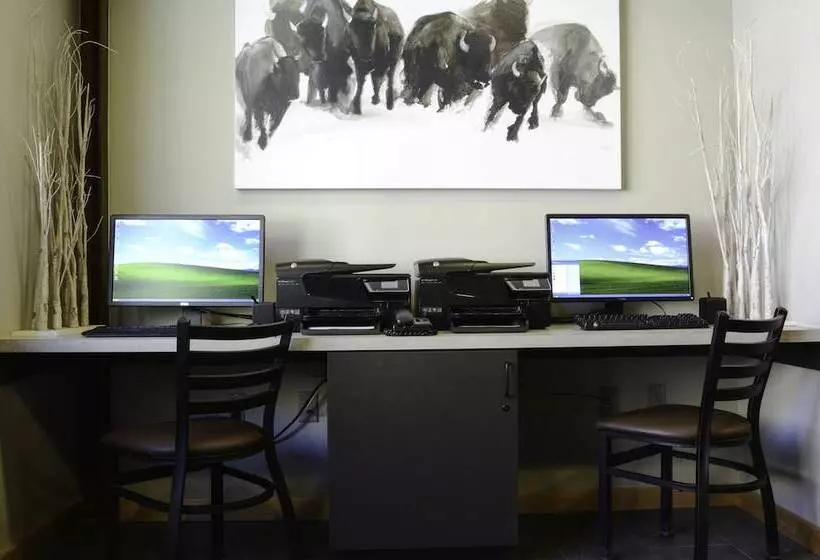 فندق 49'er Inn & Suites