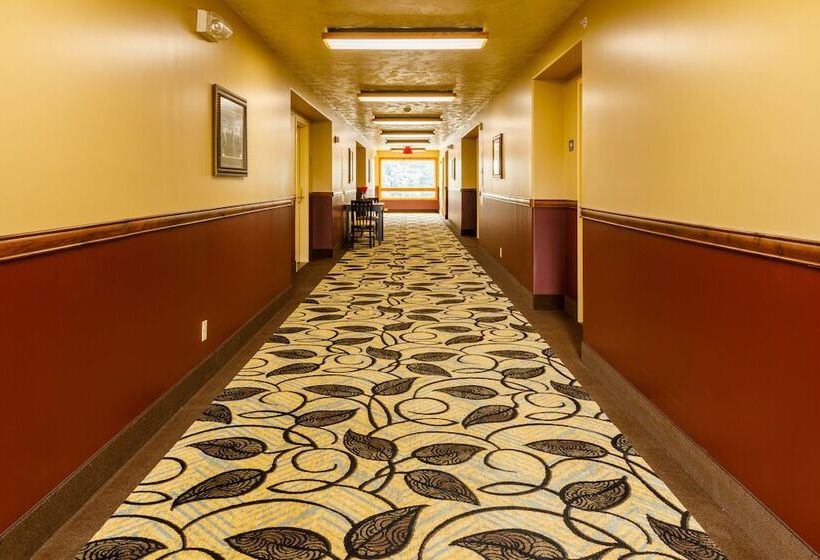 هتل 49'er Inn & Suites