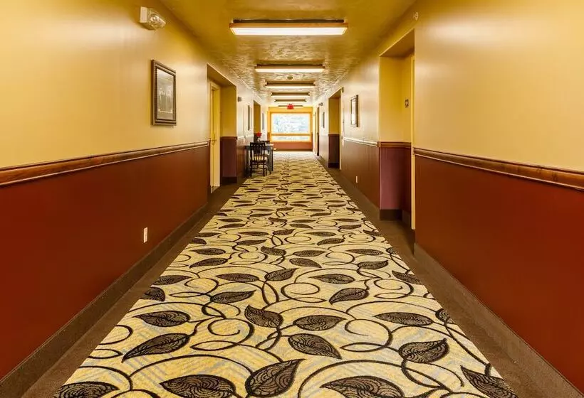 فندق 49'er Inn & Suites