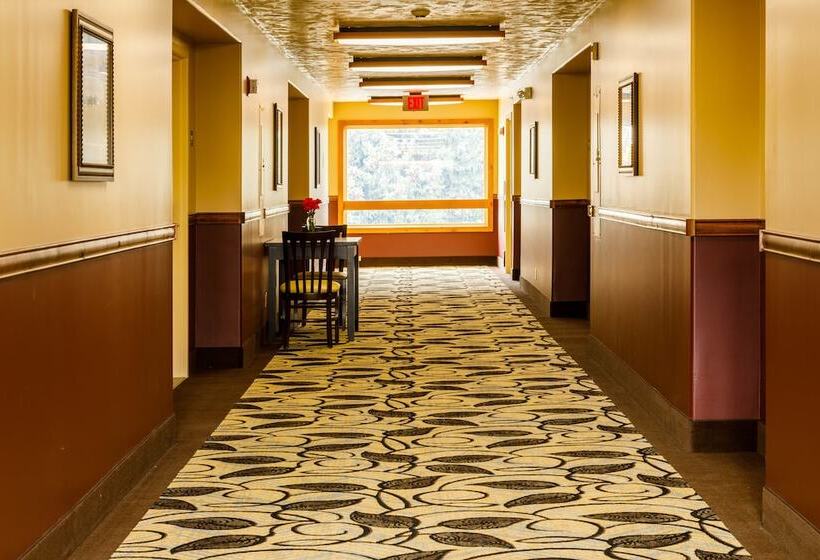 هتل 49'er Inn & Suites