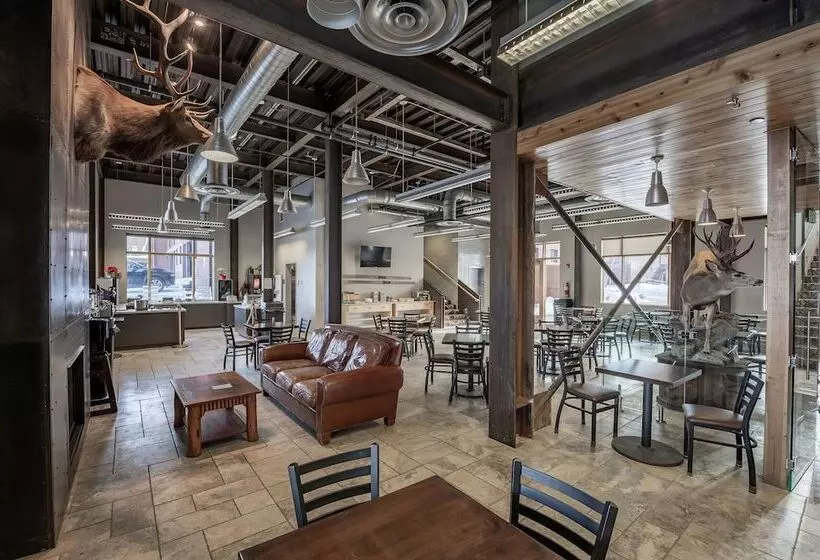 فندق 49'er Inn & Suites