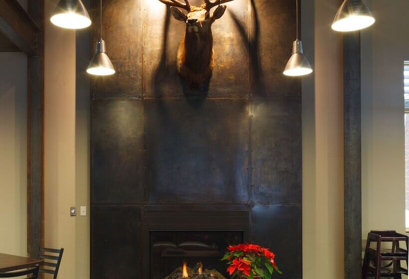 هتل 49'er Inn & Suites