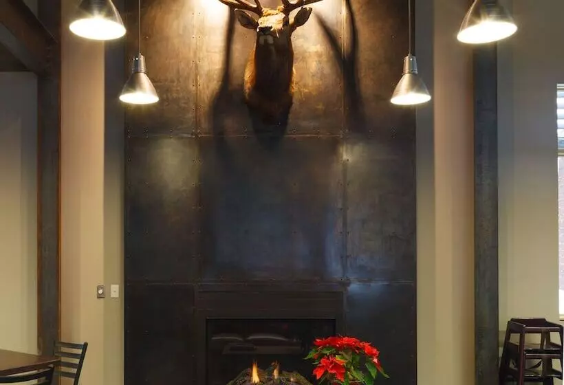 فندق 49'er Inn & Suites